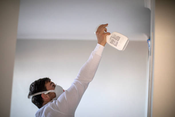 Professional Mold Removal in Newburyport, MA